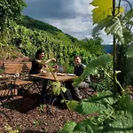 Weingut Erich Serwazi 3*