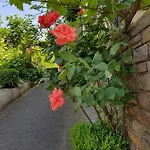Pensjonat Weingut Erich Serwazi Mesenich