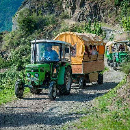 Weingut Erich Serwazi 3*