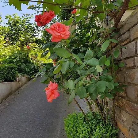 Konukevi Weingut Erich Serwazi Mesenich