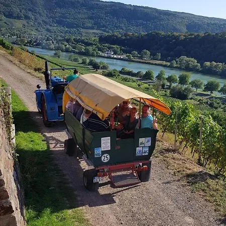 Pensionat Weingut Erich Serwazi