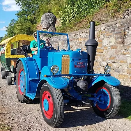 Weingut Erich Serwazi بيت ضيافة ميسينيش