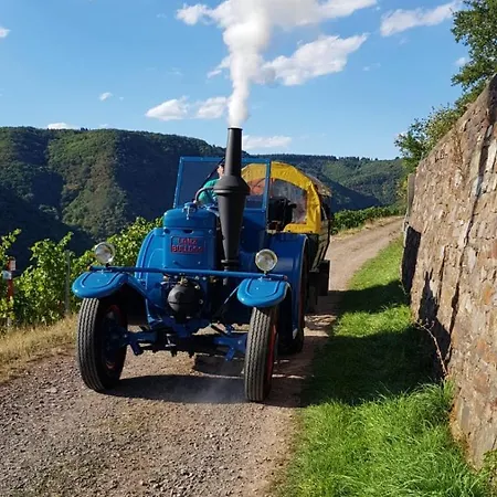 Weingut Erich Serwazi Konukevi