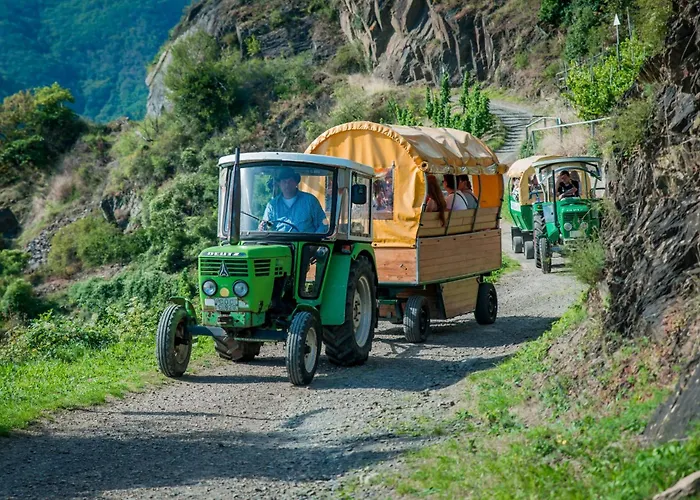 Weingut Erich Serwazi 3*