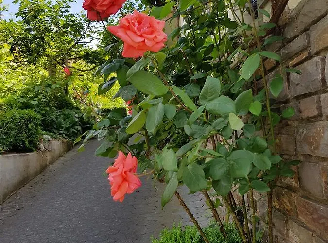 Gasthuis Weingut Erich Serwazi Mesenich