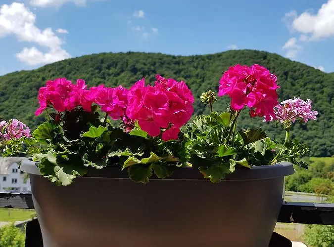 Weingut Erich Serwazi 3* Mesenich