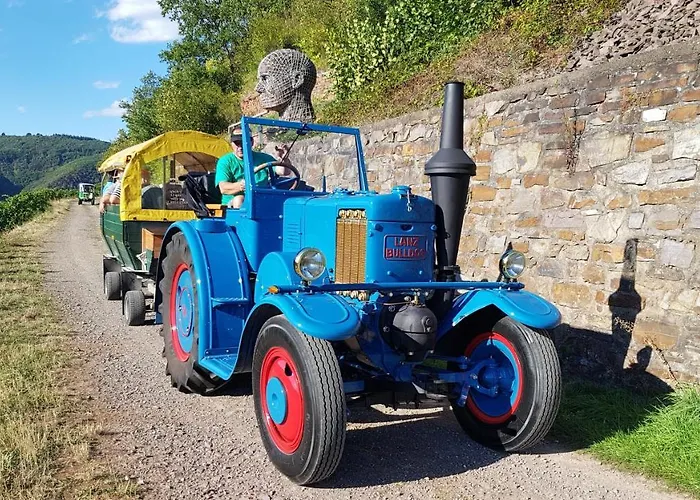 Weingut Erich Serwazi Casa de hóspedes Mesenich