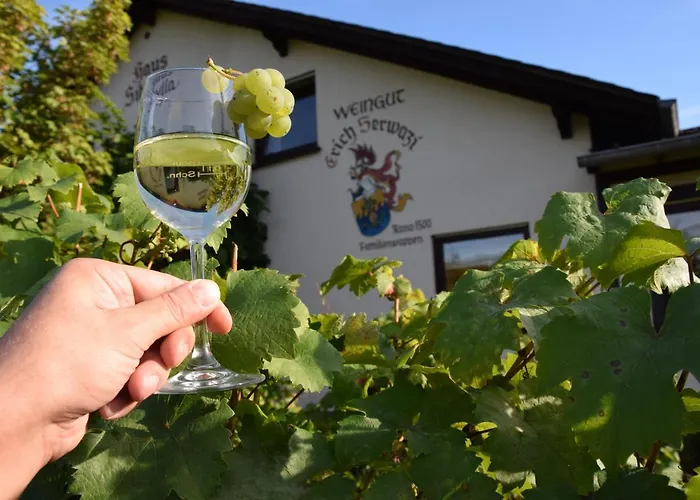 Gasthuis Weingut Erich Serwazi 3*